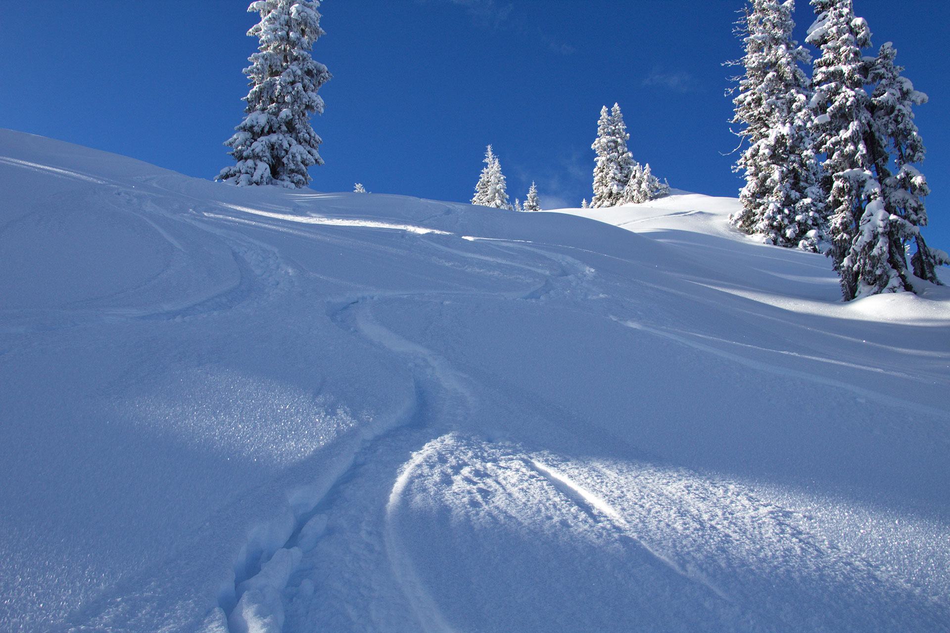 Casa Alpina Goldegg - Ski- und Snowboard
