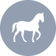 Casa Alpina Icon Pferdekutschen